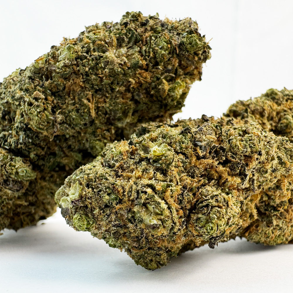 Lemon Garlic — fleur de CBD macro 2