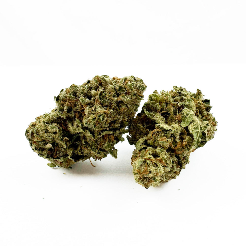 Lemon Meringue — fleur de CBD en gros, vue d'ensemble