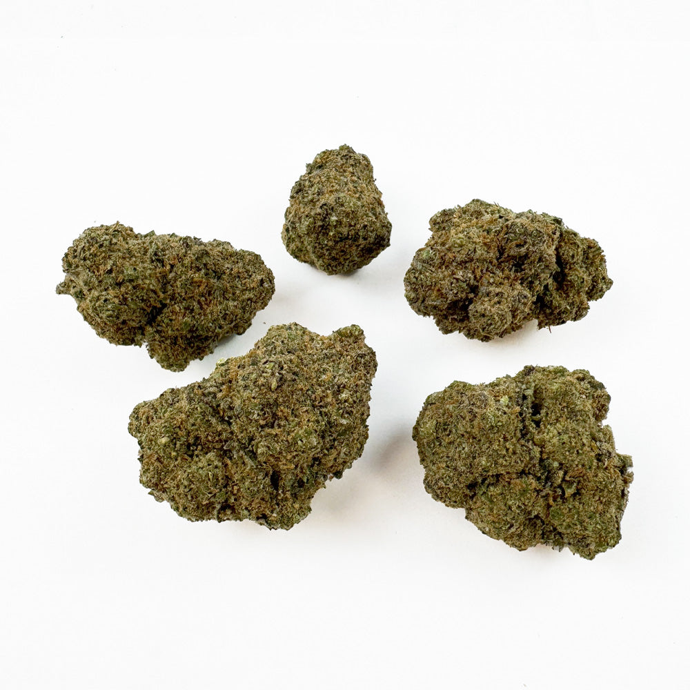 Maui - Indoor