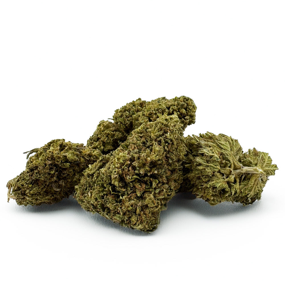 Passion Kush - Hybride USA