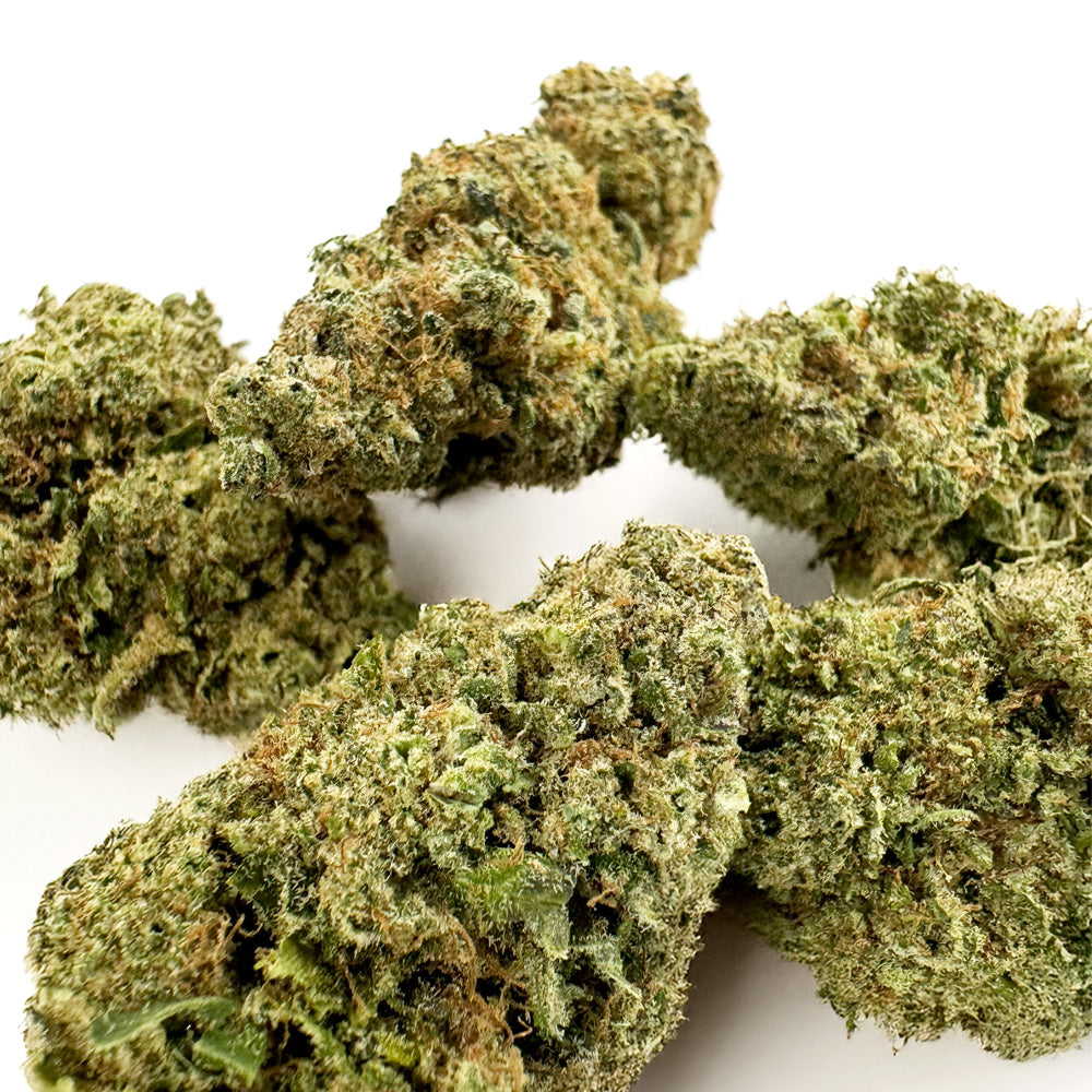 Plutonium - Indoor
