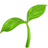 Emoji pousse de plante