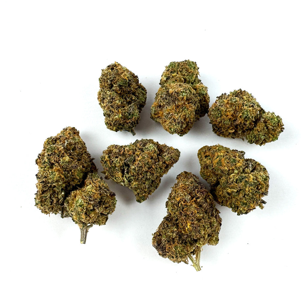 Medium buds Purple Gaz - Indoor