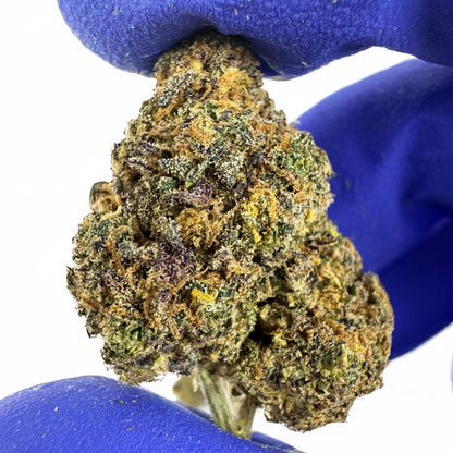 Medium buds Purple Gaz - Indoor