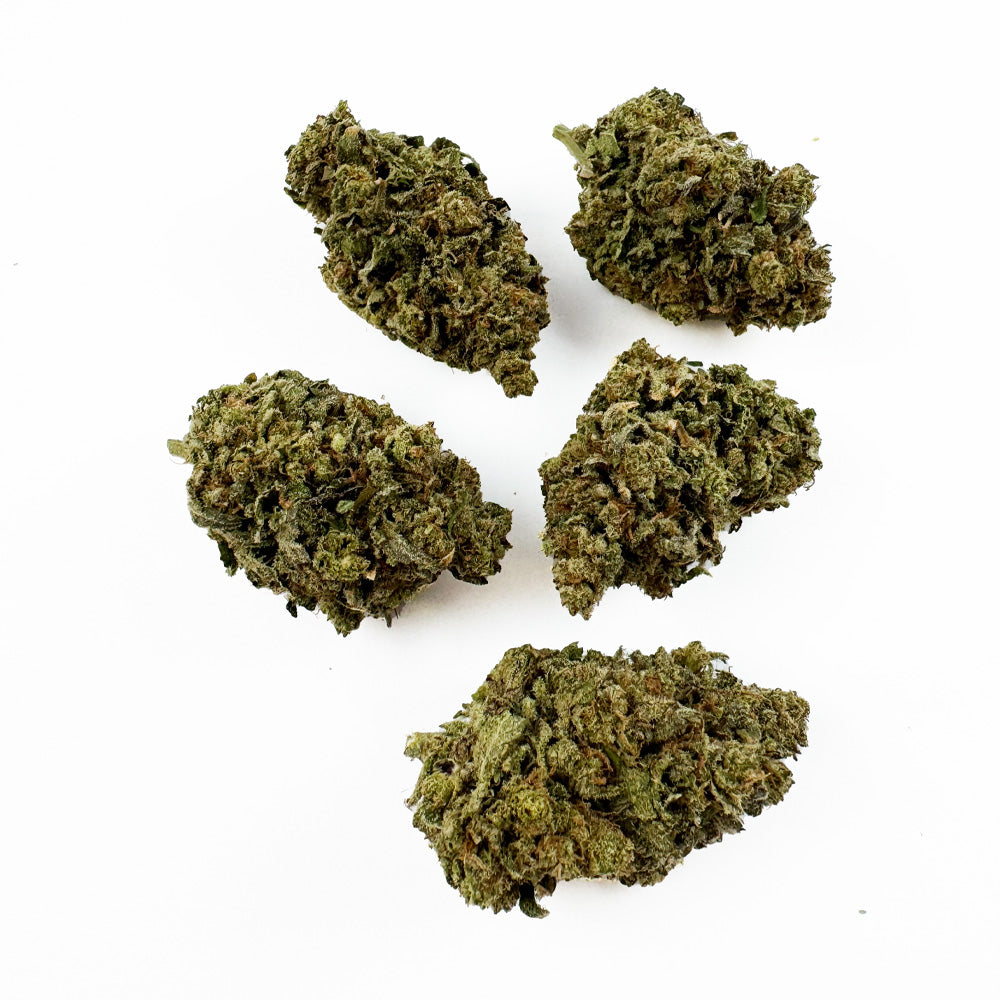 Skunk Jam — fleur de CBD macro 3