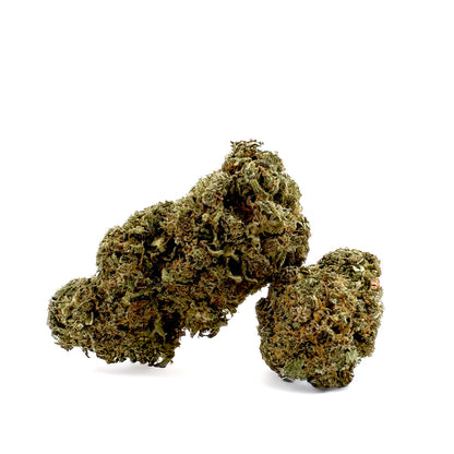 Strawberry Cough CBD - Indoor