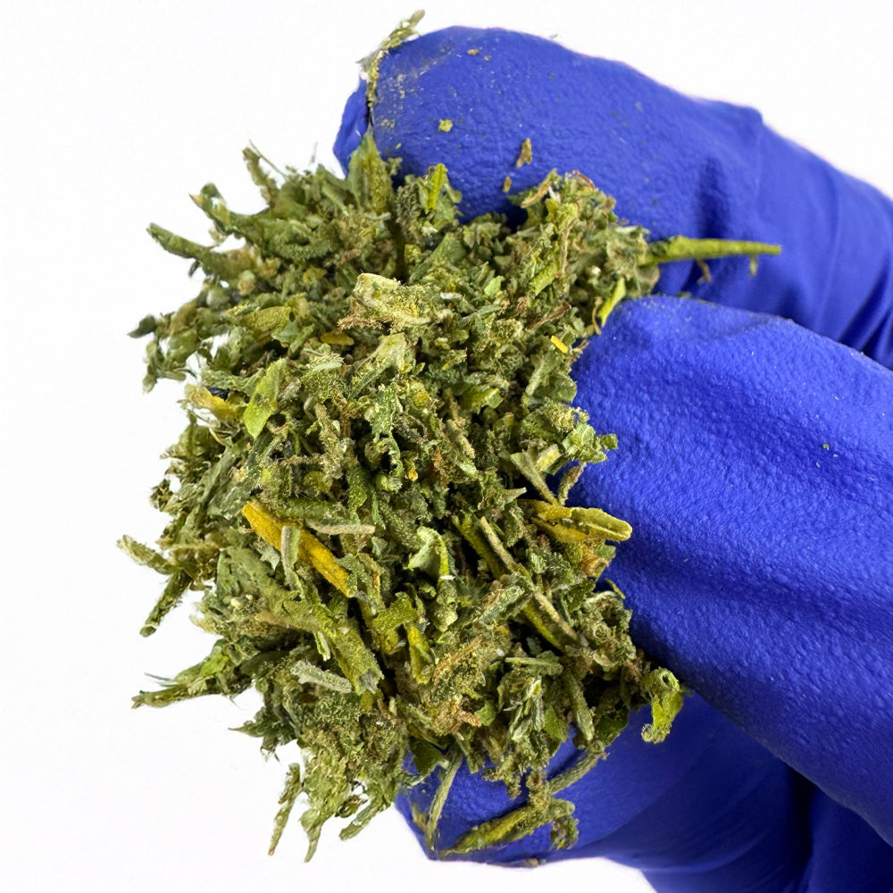 Trim B Hybride