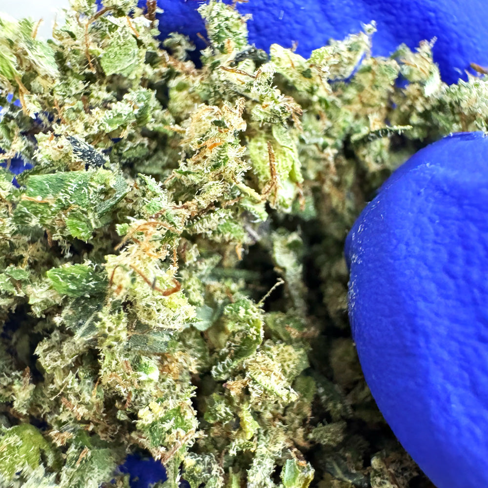 Trim A Indoor