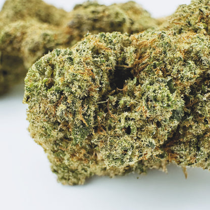 Watermelon CBD - Hydroponique Cali