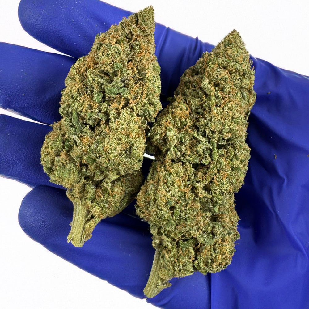Wedding Cake HQxCT CBD - Indoor