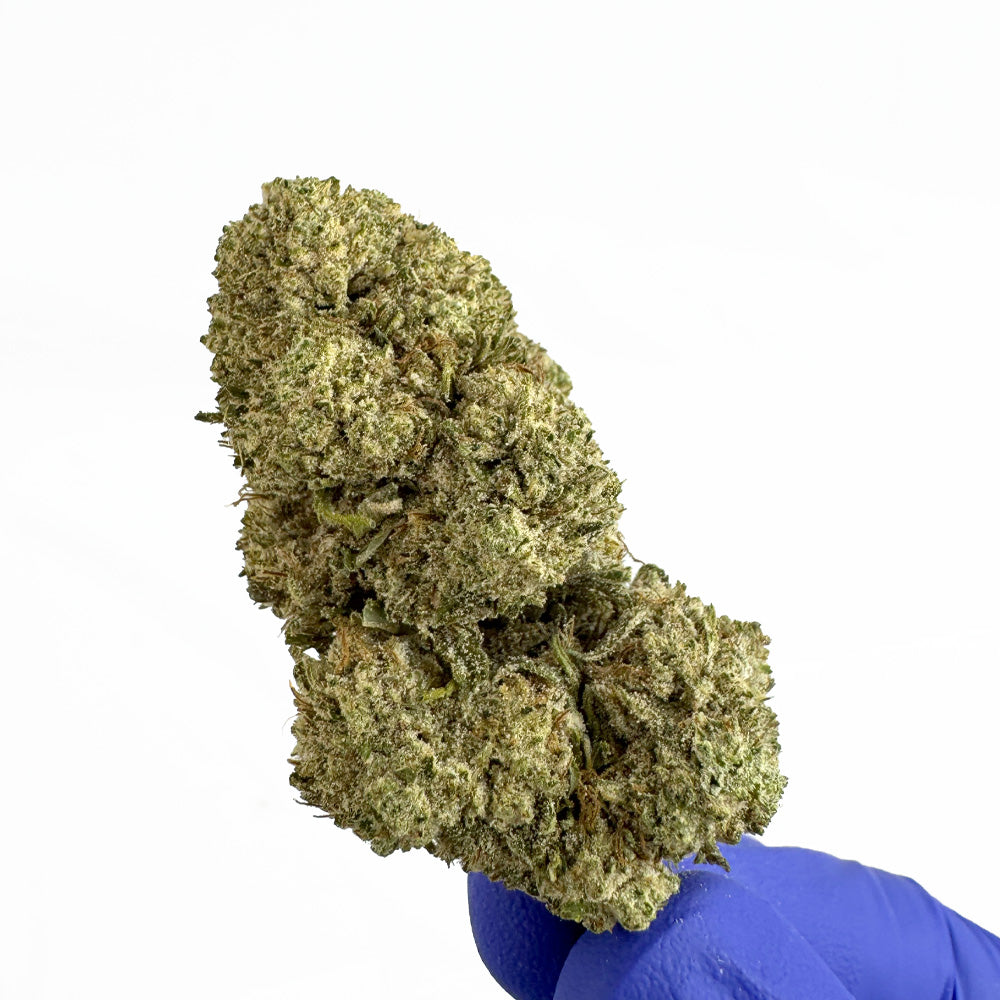 White CBG - Hybride