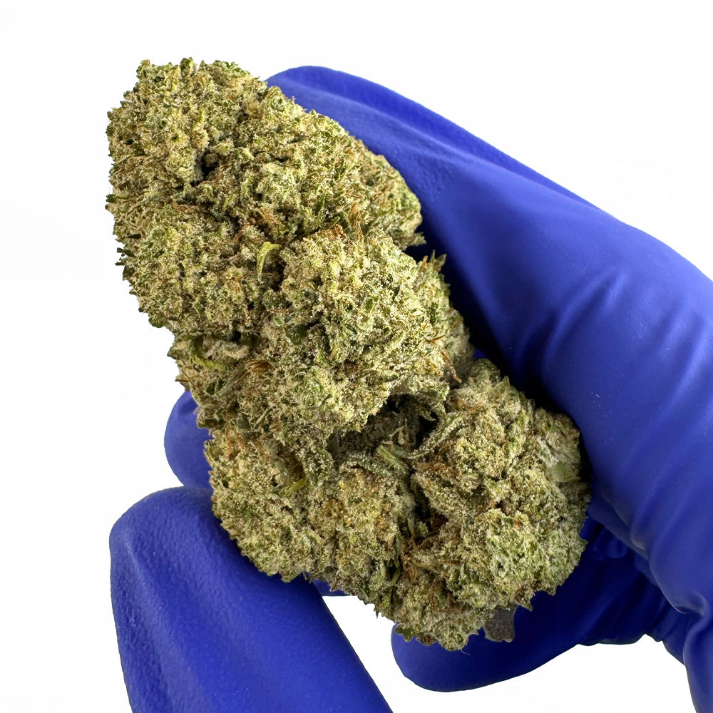 White CBG - Hybride