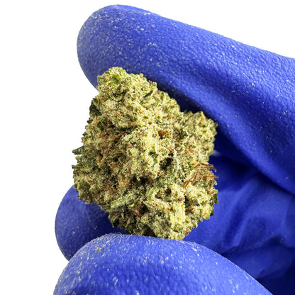 Small Buds White CBG - Hybride