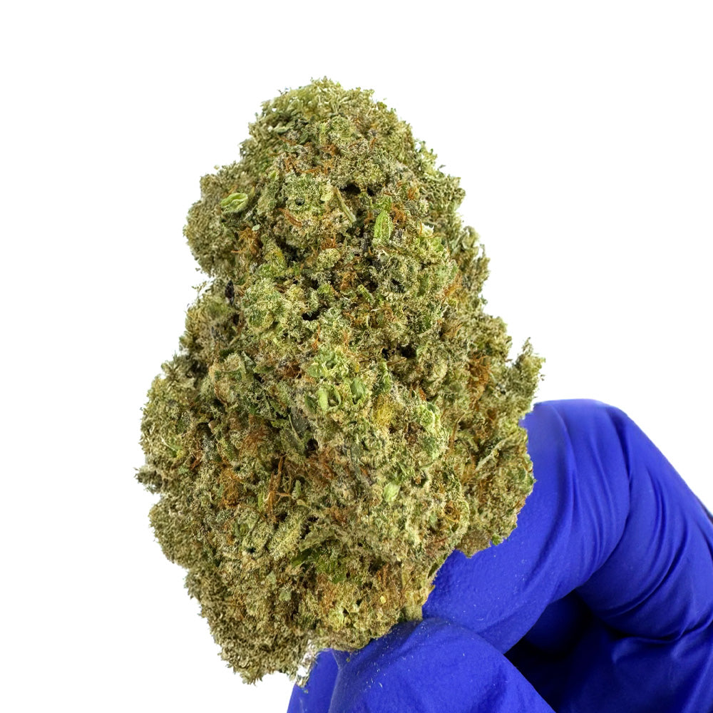Zoap CBD - Indoor