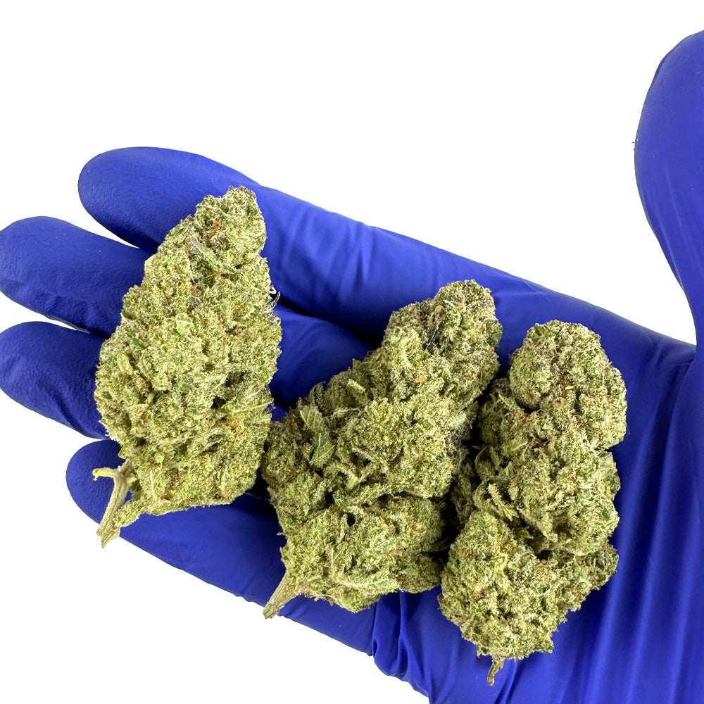 Zoap CBD - Indoor — photo 5