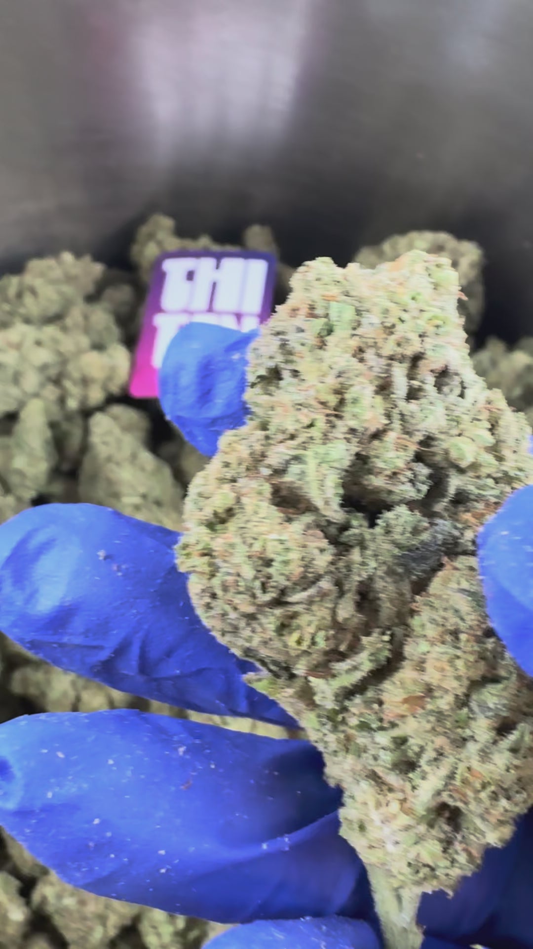 Charger la vidéo: Malabar X Zoap CBD - Indoor — vidéo de présentation
