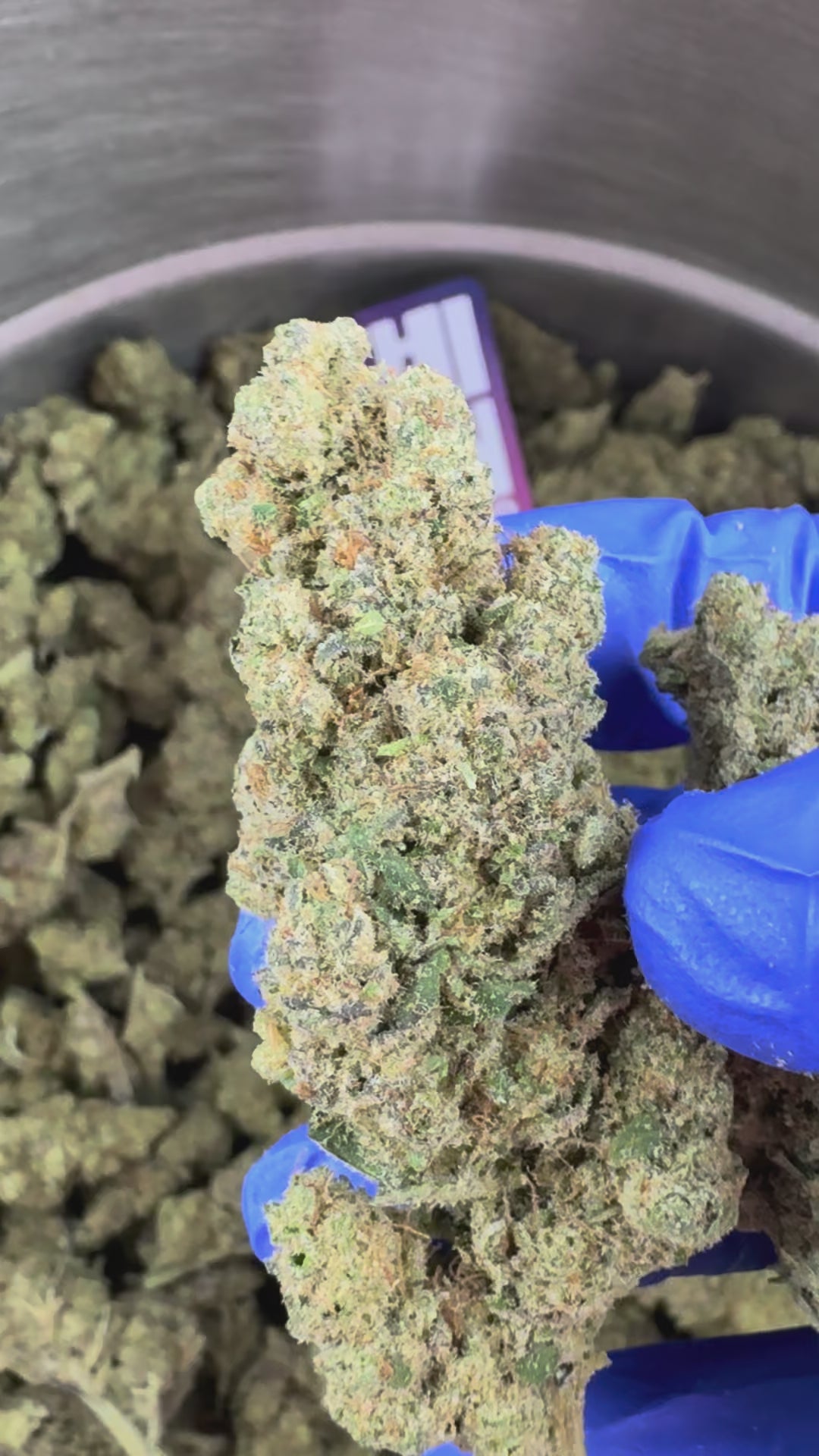 Charger la vidéo: Apple Fritter - Indoor — vidéo de présentation