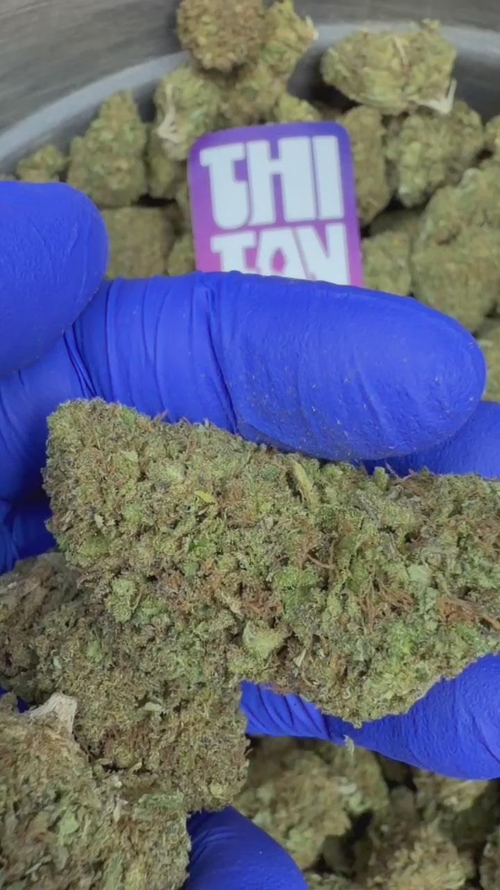 Super Special Sauce - Indoor USA — vidéo de présentation