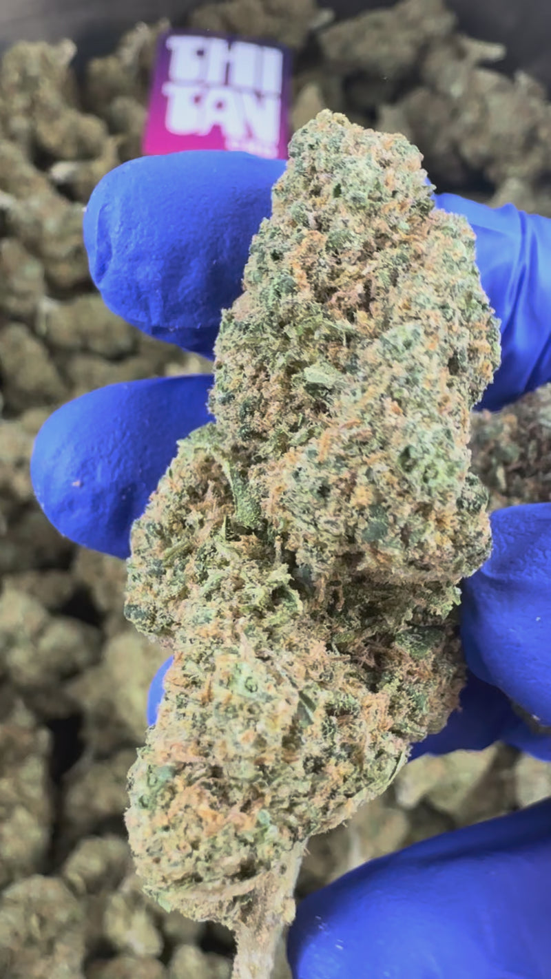 Medium buds Blueberry Muffin — vidéo de présentation