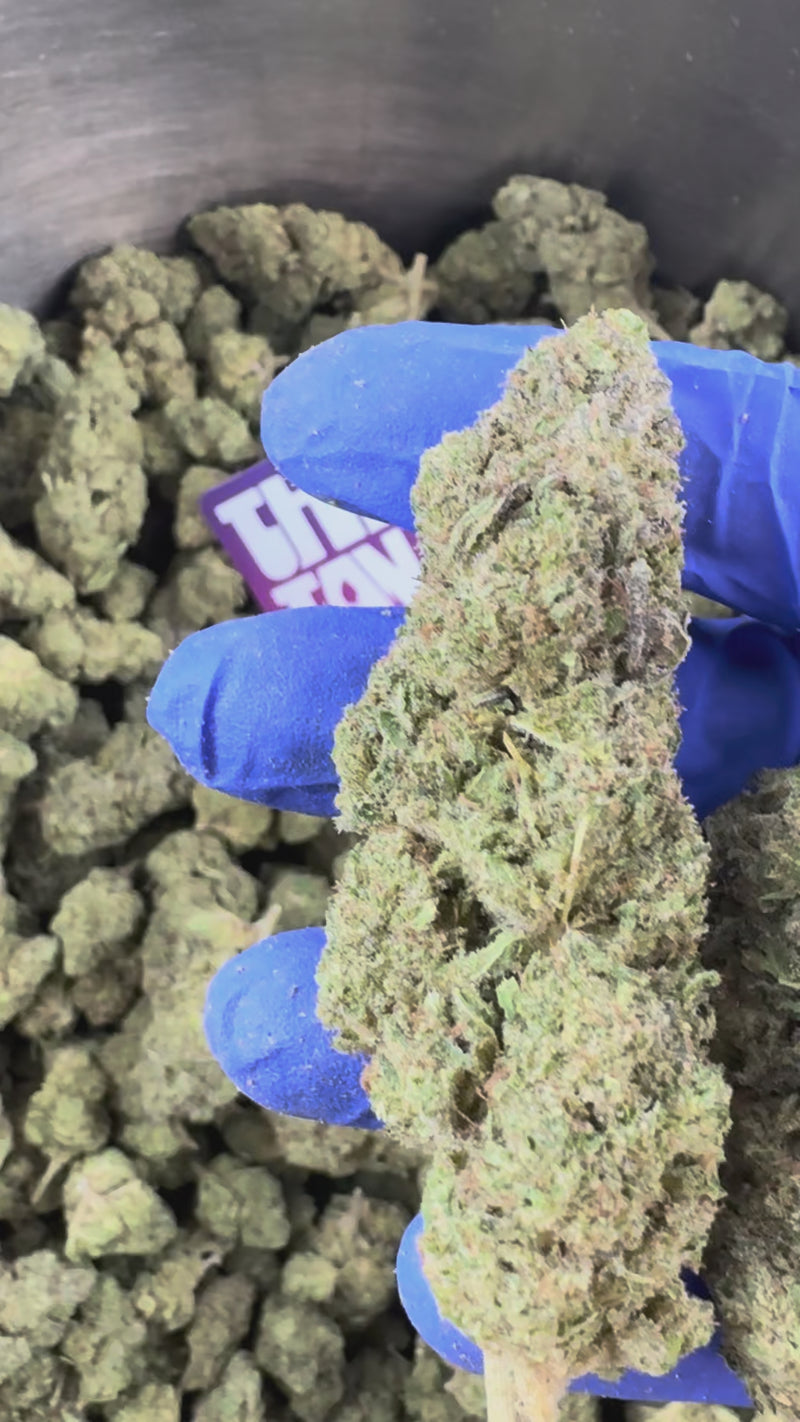 Zoap CBD - Indoor — vidéo de présentation
