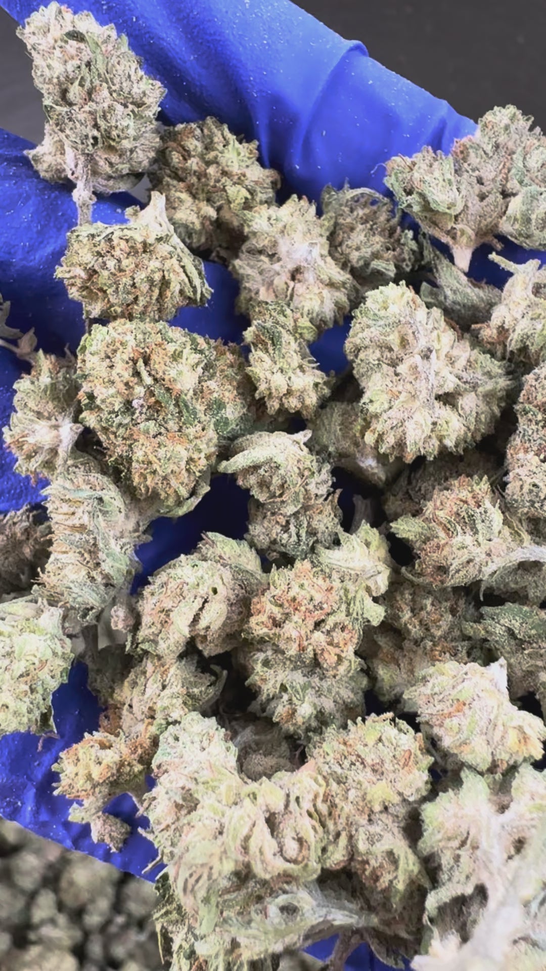 Charger la vidéo: Vidéo de présentation des Small Buds de White CBG Hybride USA