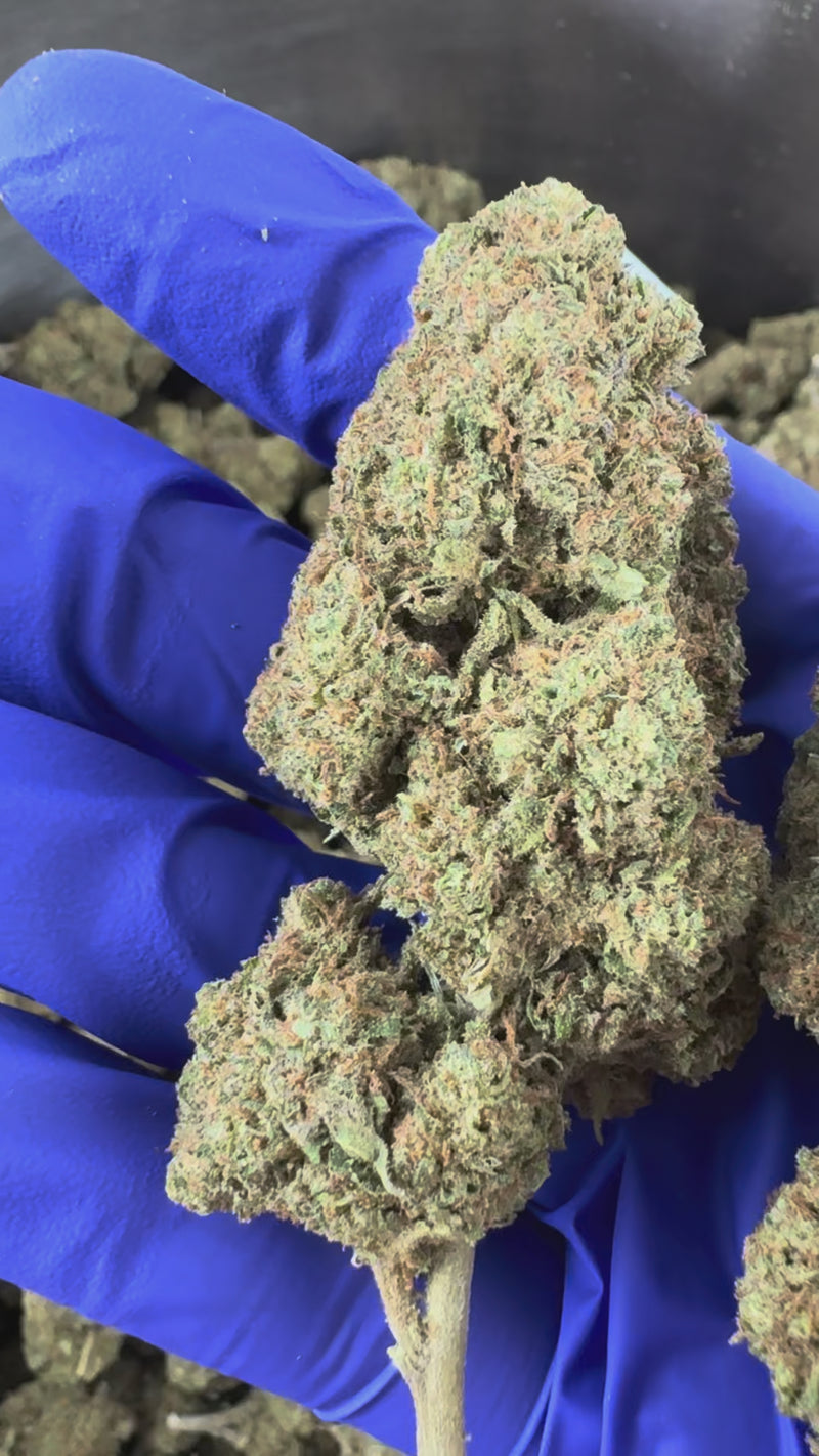 Strawpie - Greenhouse — vidéo de présentation