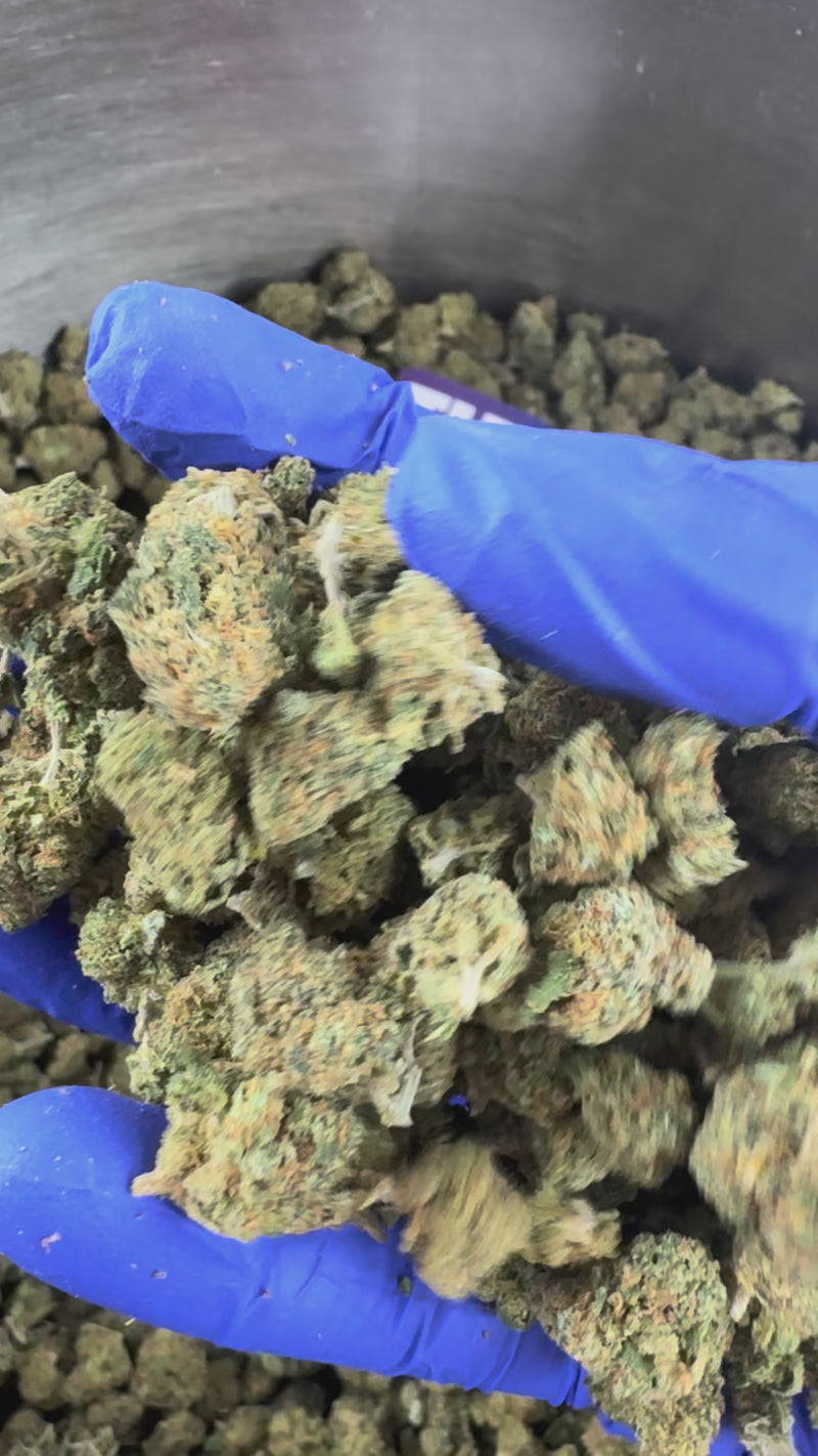 Small buds Blueberry Muffin — vidéo de présentation