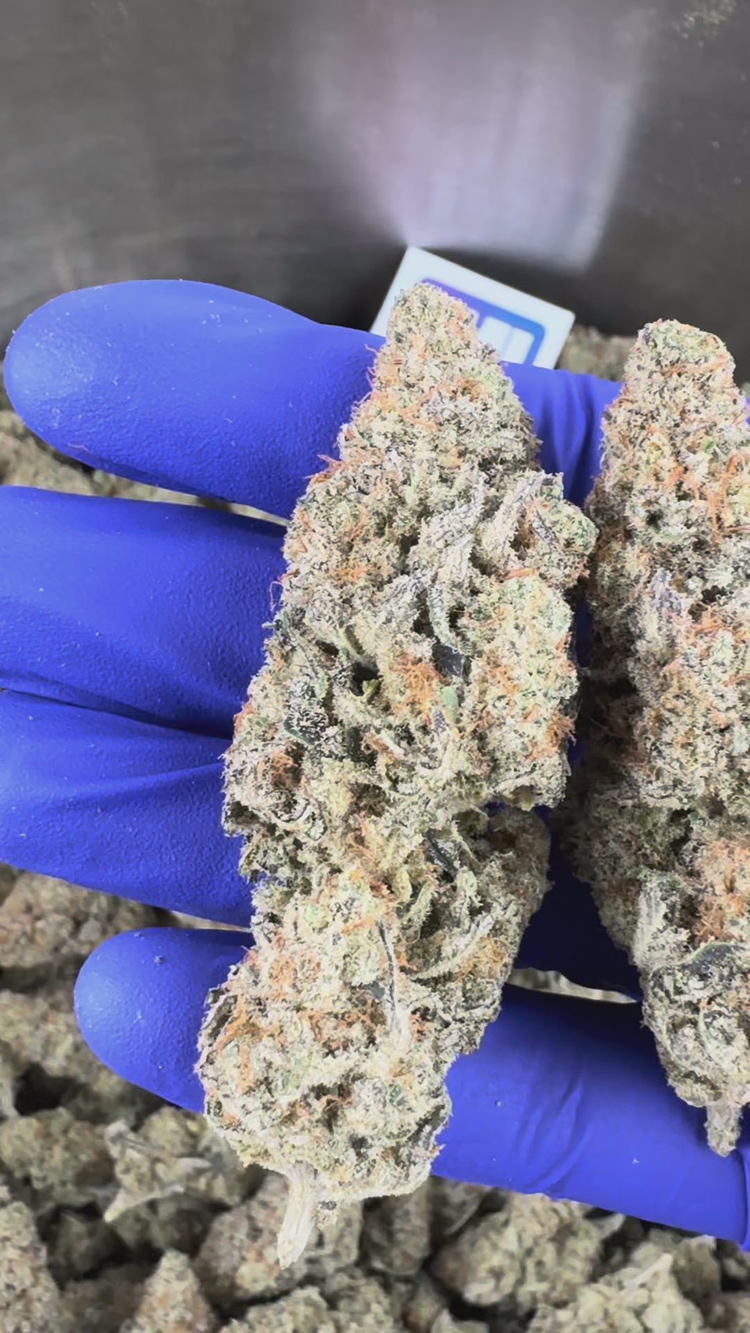 Charger la vidéo: Vidéo de présentation de la Malabar X Zoap CBD Indoor